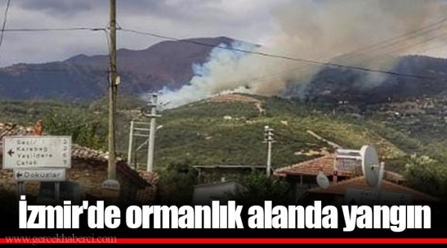 İzmir'de ormanlık alanda yangın