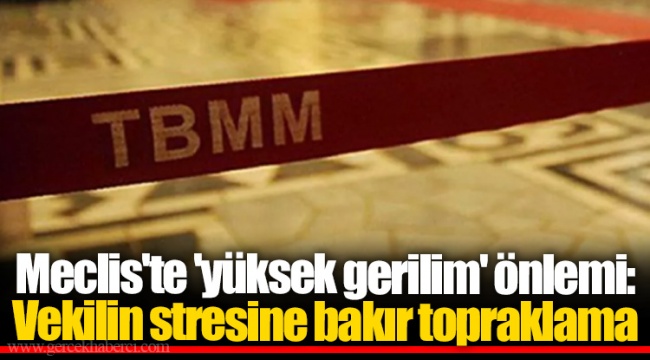 Meclis'te 'yüksek gerilim' önlemi: Vekilin stresine bakır topraklama