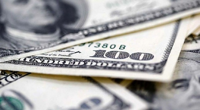 Merkez Bankası'ndaki görev değişimleri sonrası dolarda tarihi zirve