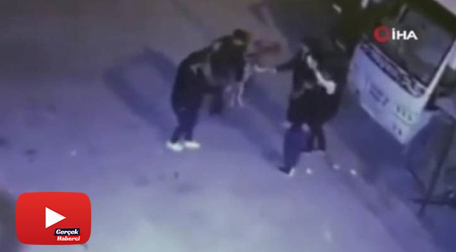 Önce halay çekerek köpekten kaçtılar ardından köpeği halaya kattılar