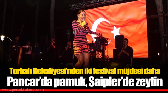Pancar’da pamuk, Saipler’de zeytin