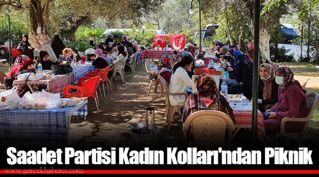 Saadet Partisi Kadın Kolları'ndan Piknik