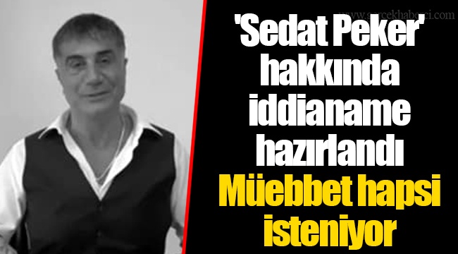 'Sedat Peker' hakkında iddianame hazırlandı...Müebbet hapsi isteniyor