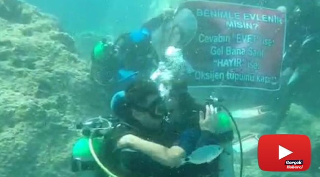 Su üstündeki yunuslardan su altında evlenme teklifi