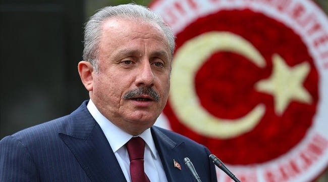 TBMM Başkanı Şentop: Yeni anayasa tartışmaları Türkiye'ye mesafe kazandırıyor