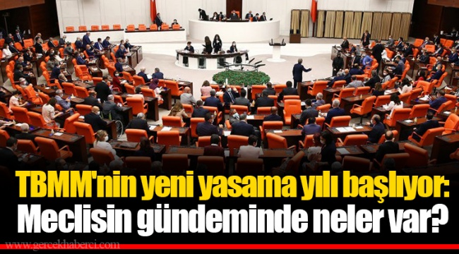 TBMM'nin yeni yasama yılı başlıyor: Meclisin gündeminde neler var?