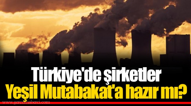 Türkiye'de şirketler Yeşil Mutabakat'a hazır mı?