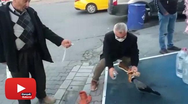 Vatandaş ile karganın dostluğu tebessüm ettirdi