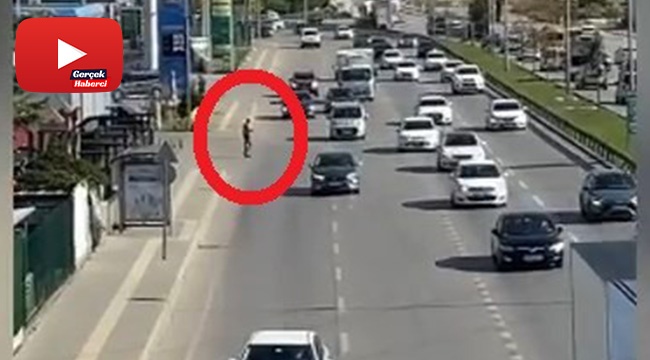 Vızır vızır geçen araçların arasında canını hiçe saydı