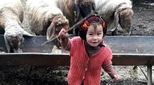 10 gündür aranıyordu... Müslüme'den acı haber geldi