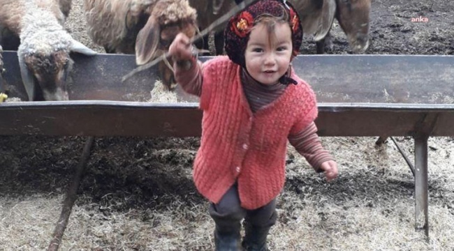 Aile Bakanlığı'ndan "Müslüme Yağal" açıklaması: "4 çocuk hakkında devlet koruması kararı alınmıştır"