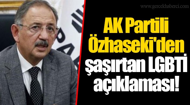 AK Partili Özhaseki'den şaşırtan LGBTİ açıklaması!