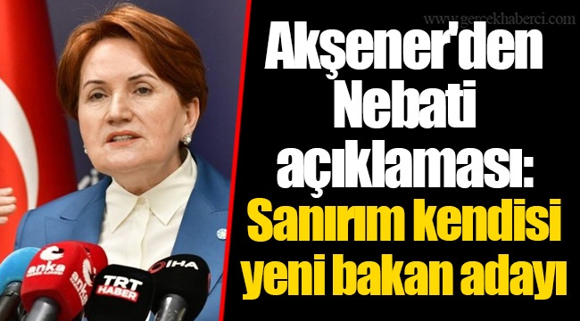 Akşener'den Nebati açıklaması: Sanırım kendisi yeni bakan adayı