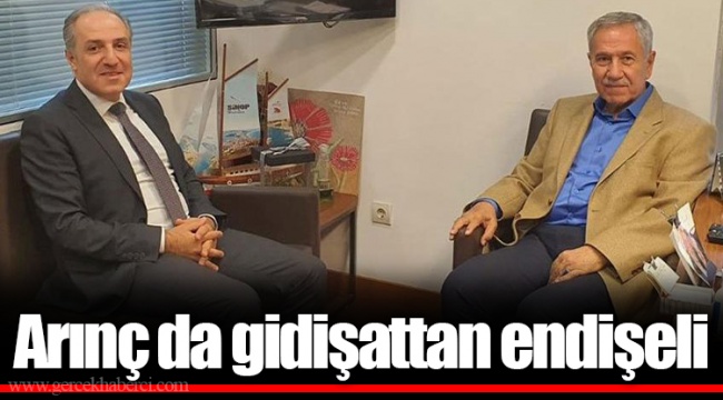 Arınç da gidişattan endişeli