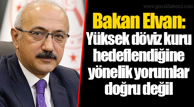 Bakan Elvan: Yüksek döviz kuru hedeflendiğine yönelik yorumlar doğru değil