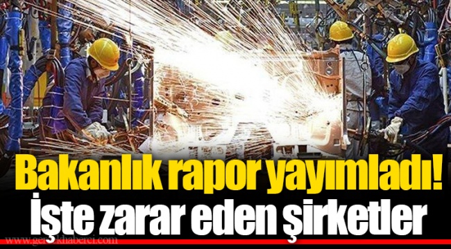 Bakanlık rapor yayımladı! İşte zarar eden şirketler