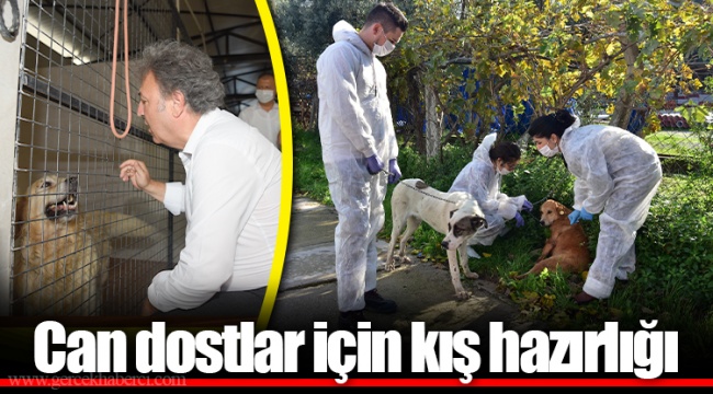 Can dostlar için kış hazırlığı