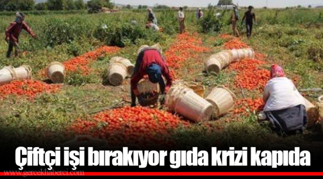 Çiftçi işi bırakıyor gıda krizi kapıda