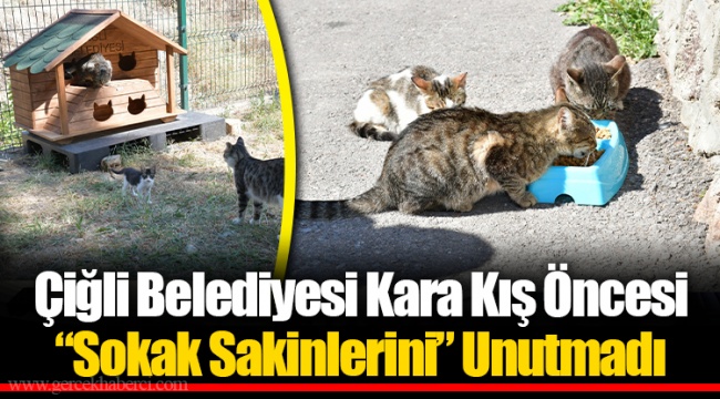 Çiğli Belediyesi Kara Kış Öncesi “Sokak Sakinlerini” Unutmadı