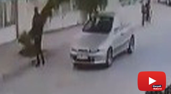 Devrilen ağacın altında kalmaktan son anda kurtuldu