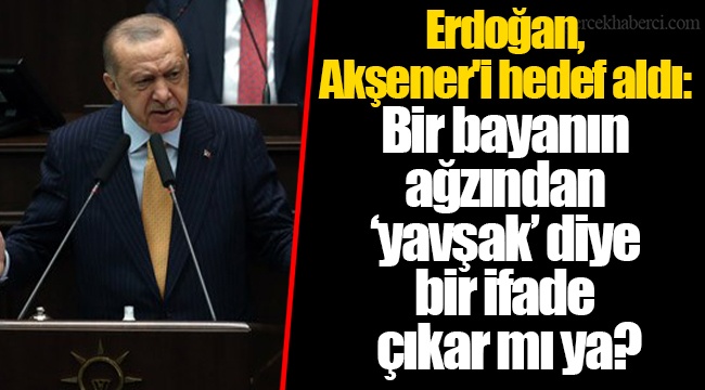 Erdoğan, Akşener'i hedef aldı: Bir bayanın ağzından ‘yavşak’ diye bir ifade çıkar mı ya?