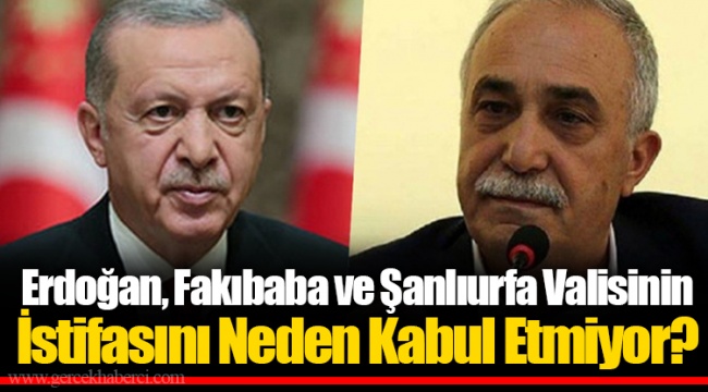 Erdoğan, Fakıbaba ve Şanlıurfa Valisinin İstifasını Neden Kabul Etmiyor?