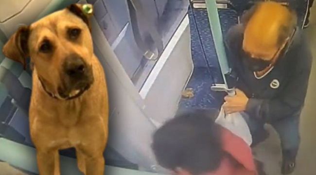 Fenomen Boji'ye dışkılı iftira