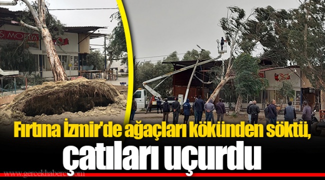 Fırtına İzmir'de ağaçları kökünden söktü, çatıları uçurdu