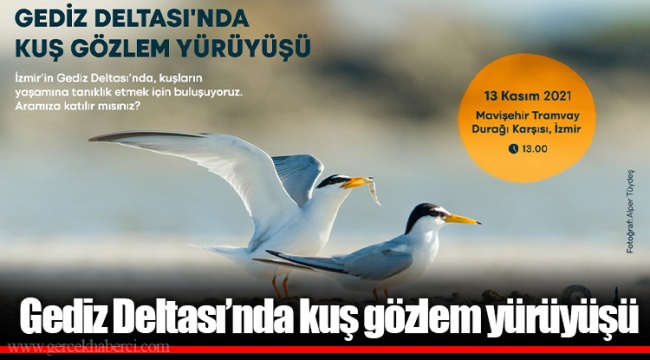 Gediz Deltası’nda kuş gözlem yürüyüşü