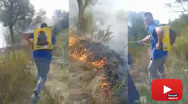 İlaçlama makineleriyle, ağaç dallarıyla yangına müdahale ettiler