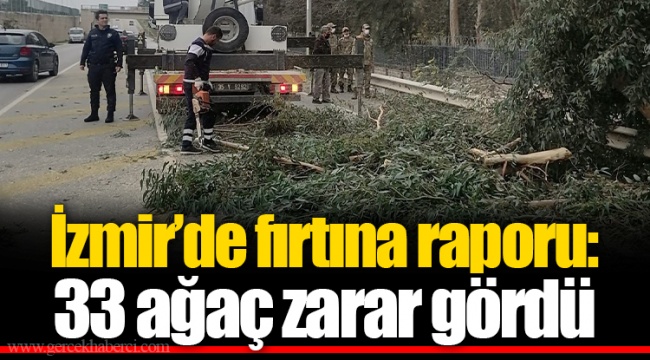 İzmir’de fırtına raporu: 33 ağaç zarar gördü