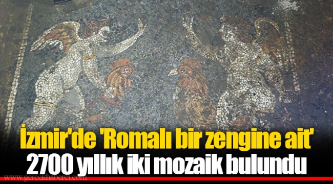 İzmir'de 'Romalı bir zengine ait' 2700 yıllık iki mozaik bulundu