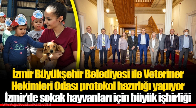İzmir’de sokak hayvanları için büyük işbirliği