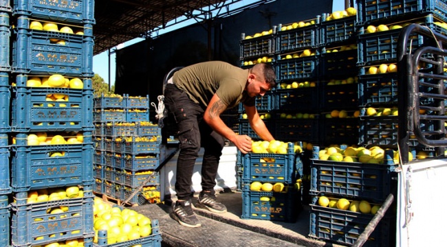 Kasanın fiyatı, limonun fiyatını geçti