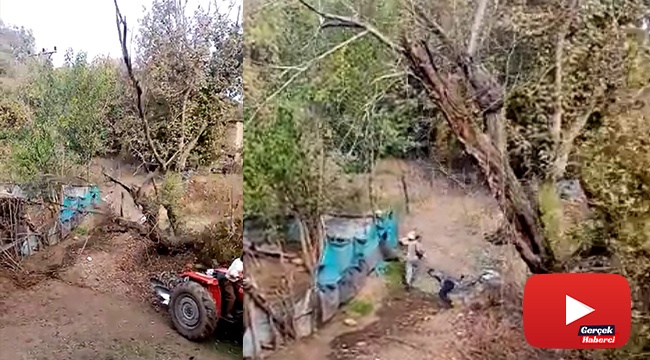 Kestikleri ağaç az daha sonları oluyordu