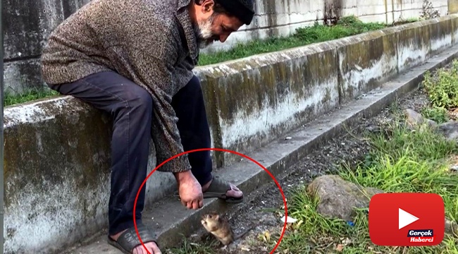 Kimsesiz adam ile farenin dostluğu: Ekmeğini fareyle paylaşıyor