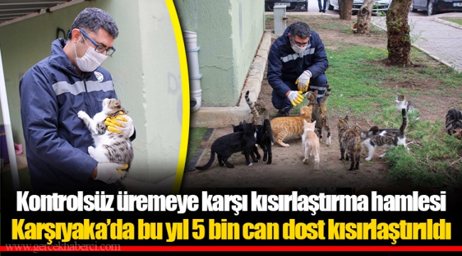 Kontrolsüz üremeye karşı kısırlaştırma hamlesi 