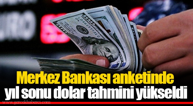 Merkez Bankası anketinde yıl sonu dolar tahmini yükseldi