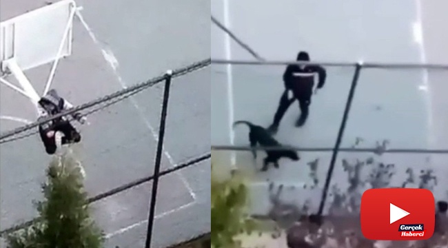 Pitbull cinsi köpeğiyle arkadaşına dehşeti yaşatt