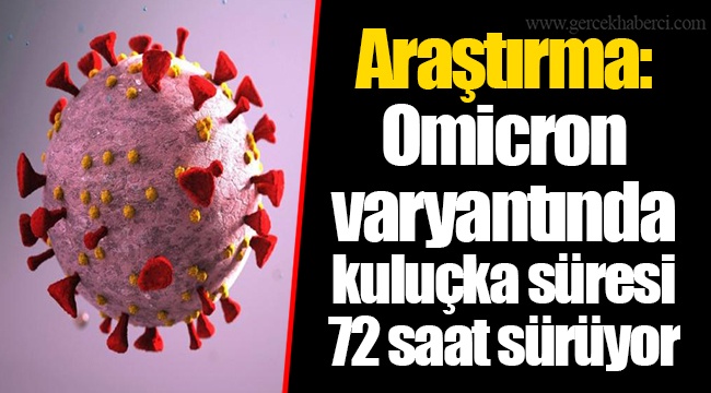 Araştırma: Omicron varyantında kuluçka süresi 72 saat sürüyor