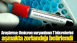 Araştırma: Omicron varyantının T hücrelerini aşmakta zorlandığı belirlendi