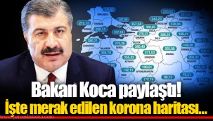 Bakan Koca paylaştı! İşte merak edilen korona haritası...