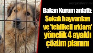 Bakan Kurum anlattı: Sokak hayvanları ve 'tehlikeli ırklara' yönelik 4 ayaklı çözüm planını