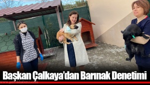 Başkan Çalkaya’dan Barınak Denetimi