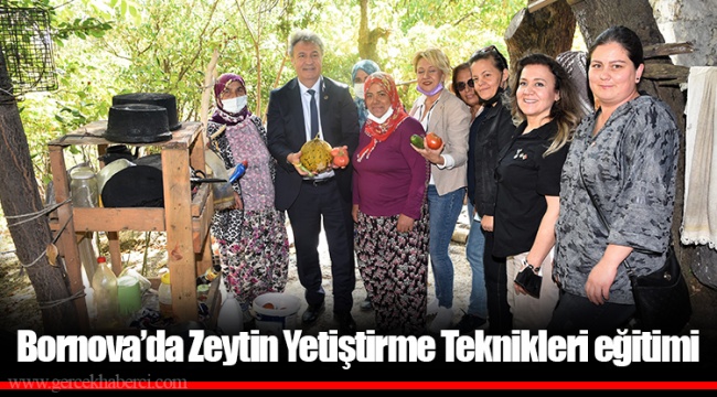 Bornova’da Zeytin Yetiştirme Teknikleri eğitimi