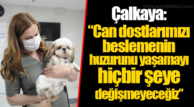 Çalkaya “Can dostlarımızı beslemenin huzurunu yaşamayı hiçbir şeye değişmeyeceğiz”