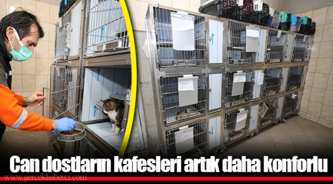 Can dostların kafesleri artık daha konforlu
