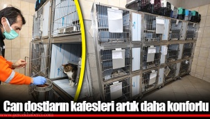 Can dostların kafesleri artık daha konforlu
