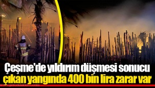 Çeşme'de yıldırım düşmesi sonucu çıkan yangında 400 bin lira zarar var