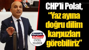 CHP’li Polat, “Yaz ayına doğru dilim karpuzları görebiliriz”